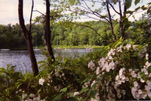 200035_150532938343743_4159465_n